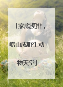 家底摸排，崂山成野生动物天堂