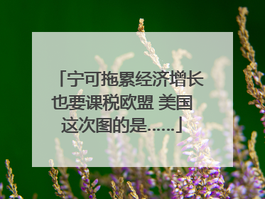 宁可拖累经济增长也要课税欧盟 美国这次图的是……