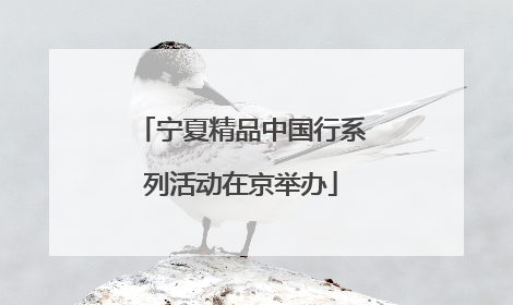 宁夏精品中国行系列活动在京举办