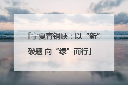 宁夏青铜峡：以“新”破题 向“绿”而行