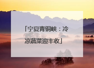 宁夏青铜峡：冷凉蔬菜迎丰收