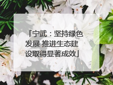 宁武：坚持绿色发展 推进生态建设取得显著成效