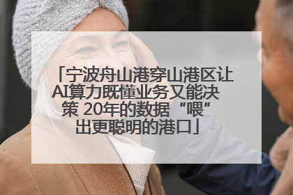 宁波舟山港穿山港区让AI算力既懂业务又能决策 20年的数据“喂”出更聪明的港口