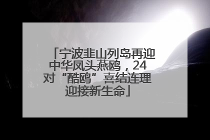 宁波韭山列岛再迎中华凤头燕鸥，24对“酷鸥”喜结连理迎接新生命