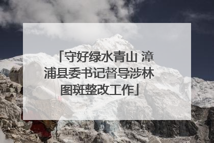 守好绿水青山 漳浦县委书记督导涉林图斑整改工作