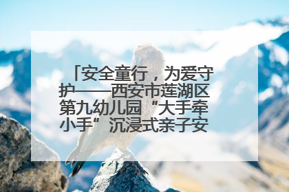 安全童行，为爱守护——西安市莲湖区第九幼儿园“大手牵小手”沉浸式亲子安全体验活动
