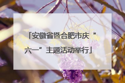 安徽省暨合肥市庆“六一”主题活动举行