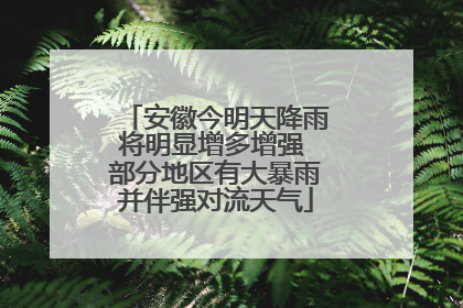 安徽今明天降雨将明显增多增强 部分地区有大暴雨并伴强对流天气