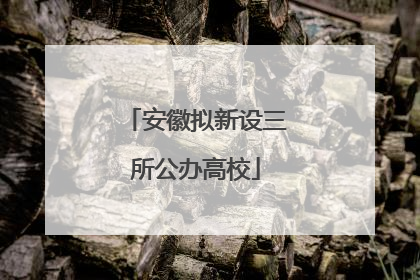 安徽拟新设三所公办高校