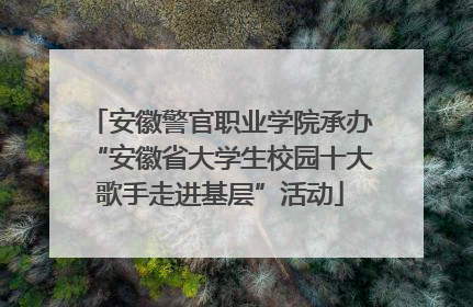 安徽警官职业学院承办“安徽省大学生校园十大歌手走进基层”活动
