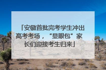 安徽首批完考学生冲出高考考场，“显眼包”家长们迎接考生归来