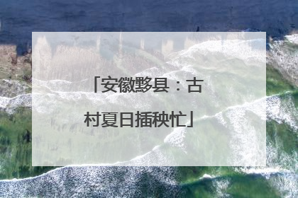 安徽黟县：古村夏日插秧忙