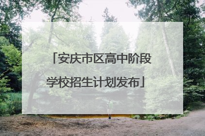 安庆市区高中阶段学校招生计划发布