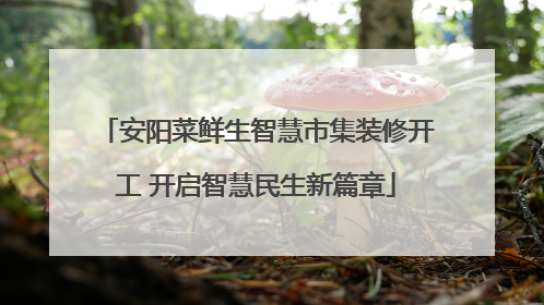 安阳菜鲜生智慧市集装修开工 开启智慧民生新篇章