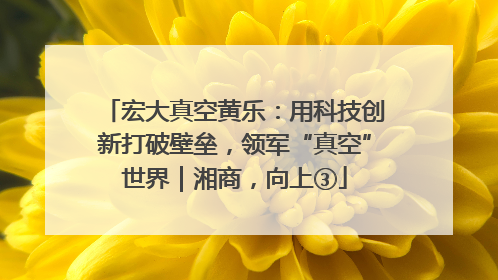 宏大真空黄乐：用科技创新打破壁垒，领军“真空”世界｜湘商，向上③