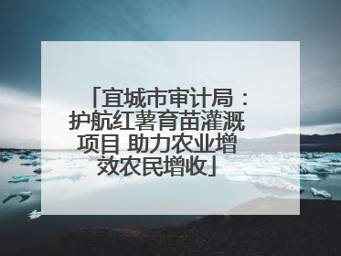 宜城市审计局：护航红薯育苗灌溉项目 助力农业增效农民增收