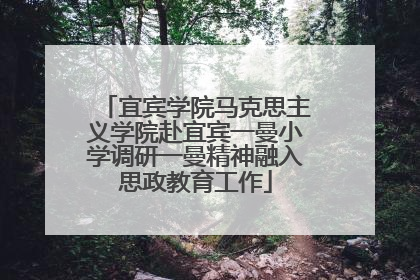 宜宾学院马克思主义学院赴宜宾一曼小学调研一曼精神融入思政教育工作