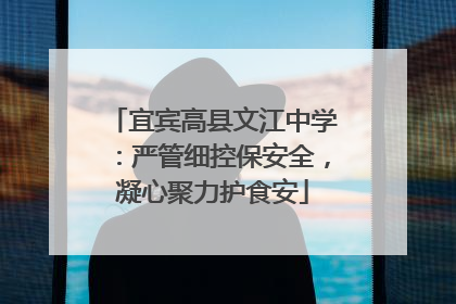 宜宾高县文江中学：严管细控保安全，凝心聚力护食安