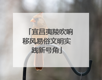 宜昌夷陵吹响移风易俗文明实践新号角