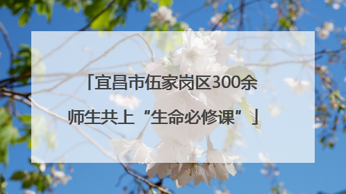宜昌市伍家岗区300余师生共上“生命必修课”