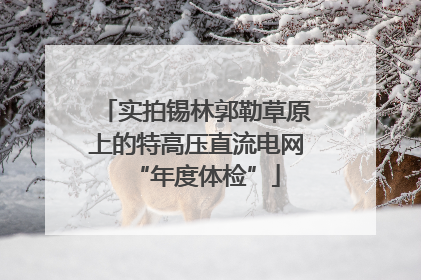 实拍锡林郭勒草原上的特高压直流电网“年度体检”