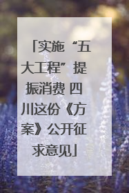实施“五大工程”提振消费 四川这份《方案》公开征求意见