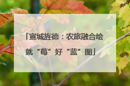 宣城旌德：农旅融合绘就“莓”好“蓝”图