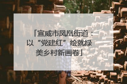 宣威市凤凰街道：以“党建红”绘就绿美乡村新画卷