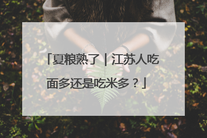 夏粮熟了｜江苏人吃面多还是吃米多？