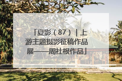 夏影（87）｜上游主题摄影征稿作品展——周社根作品