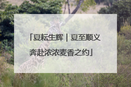 夏耘生辉｜夏至顺义奔赴浓浓麦香之约