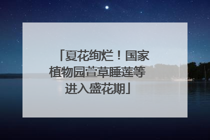 夏花绚烂！国家植物园萱草睡莲等进入盛花期