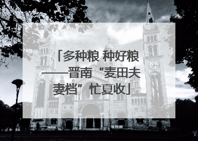 多种粮 种好粮——晋南“麦田夫妻档”忙夏收