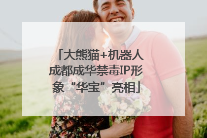 大熊猫+机器人 成都成华禁毒IP形象“华宝”亮相