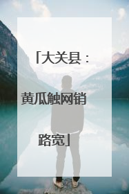 大关县：黄瓜触网销路宽