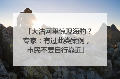 大沽河里惊现海豹？专家：有过此类案例，市民不要自行靠近