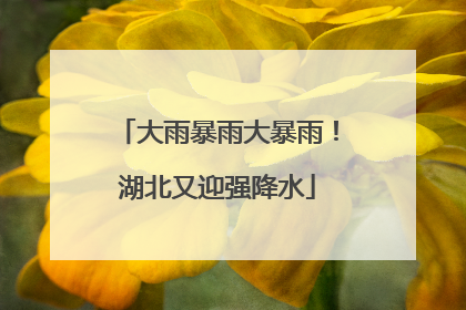 大雨暴雨大暴雨！湖北又迎强降水