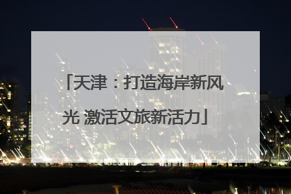 天津：打造海岸新风光 激活文旅新活力