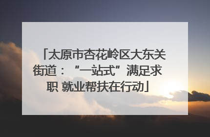 太原市杏花岭区大东关街道：“一站式”满足求职 就业帮扶在行动