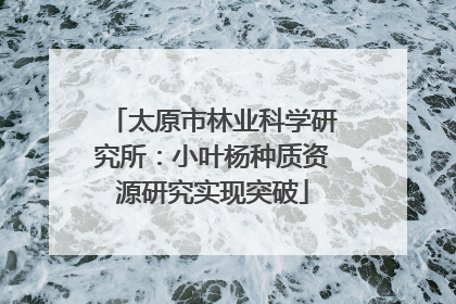 太原市林业科学研究所：小叶杨种质资源研究实现突破