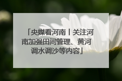 央媒看河南丨关注河南加强田间管理、黄河调水调沙等内容