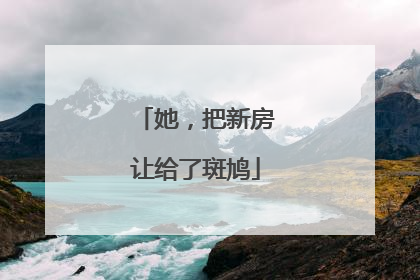 她，把新房让给了斑鸠