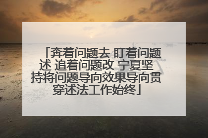 奔着问题去 盯着问题述 追着问题改 宁夏坚持将问题导向效果导向贯穿述法工作始终