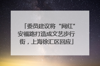 委员建议将“网红”安福路打造成文艺步行街，上海徐汇区回应