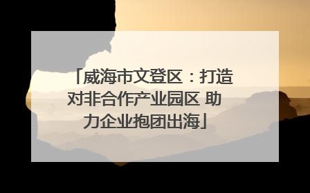 威海市文登区：打造对非合作产业园区 助力企业抱团出海