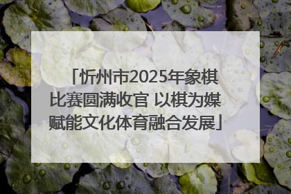 忻州市2025年象棋比赛圆满收官 以棋为媒赋能文化体育融合发展
