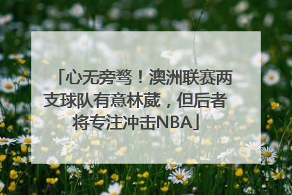 心无旁骛！澳洲联赛两支球队有意林葳，但后者将专注冲击NBA