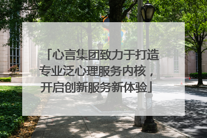 心言集团致力于打造专业泛心理服务内核，开启创新服务新体验