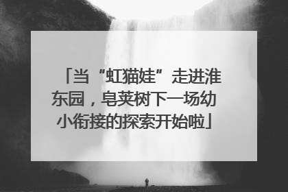 当“虹猫娃”走进淮东园，皂荚树下一场幼小衔接的探索开始啦