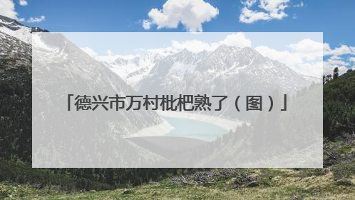 德兴市万村枇杷熟了（图）